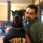 Sam Meek - @wolfgang_dobermans - Instagram