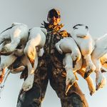 Sam Meyers - @sam_meyers3 - Instagram