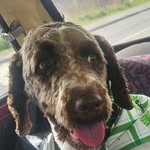 sam Middleton - @sammidd2023 - Instagram