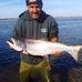 Sam Millard - Facebook