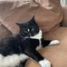 Sam Mintz - Facebook