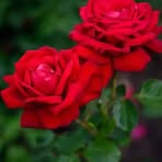 Sam Mir - Facebook