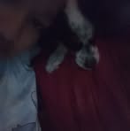 Sam Mir - Facebook
