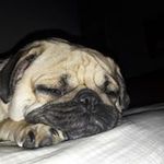 Samuel Mistretta - @samuel.mistretta.16 - Instagram