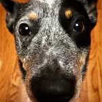 sam mizelle - @sammizelle - Instagram