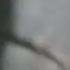 Sam moller - @sam.moller6 - TikTok