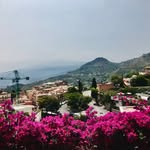 Sam Monk - @sam_m883 - Instagram