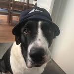 Sam - @sam._monk - Instagram