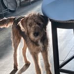 Sam morello - @morello204 - Instagram