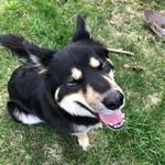 Sam Morrell - @sam_morrell_k5 - Instagram