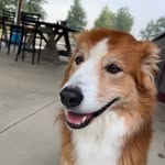 Sam Muhlenkamp - @sammuhlenkamp33 - Instagram