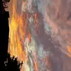 SAM MULLER - @sam.muller170 - TikTok