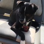 Sam Murdock - @sammurdo08 - Instagram
