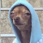 Sam Murdock - @sam_murdock1 - Instagram