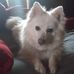 Sam Musick - Facebook