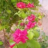SaM_NaZaRi - @samiranazari93 - TikTok