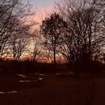 Sam Neumann - @samneumann273 - Instagram