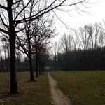 Sam Neumann TS - @samm_neu - Instagram
