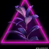 Sam Nicolas - @sam.nicolas23 - TikTok