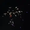 sam_null - @sam_null - TikTok