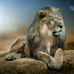 Sam Obeid - Facebook