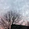 SamOlive - @tiniestone3921 - TikTok