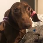 Samuel Olszewski - Facebook