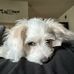 Sam Ortiz - Facebook