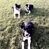 Sam Partridge - @sam_tala_max_ciara - TikTok