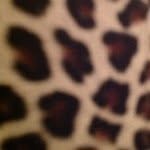 samantha - @sampatty123 - Instagram
