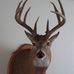 Sam Peeples - Facebook