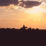 Sam Penrod - @sampenrod5 - Instagram