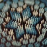 Sam Perlmutter - @perlglass - Instagram