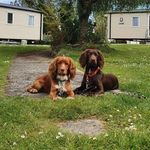 Sam Pickering - @sam.pickering.148 - Instagram