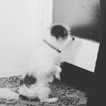 @sam_pierson05 - Instagram