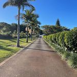 Sam Plummer - @clearcutsgardening - Instagram