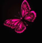 Sam Portillo - Facebook