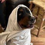 Sam - @sam_poulos_ - Instagram