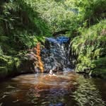 Sam Priest - @wildbfg - Instagram