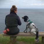 Sam Priest - @sam.priest.5 - Instagram