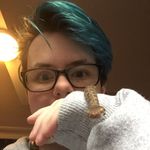 Sam Pringle - @obvious_enough - Instagram