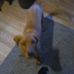 Sam Pringle - Facebook