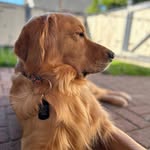Sam Radin - @sam__radin - Instagram
