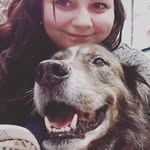 Sam Ragonese - @samragonese13 - Instagram