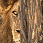 Samrail - @samrail009 - Instagram
