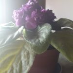 Sam Raimi - @sammyraimi - Instagram