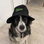 Sam Rayner - @samrayner10 - Instagram