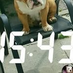 sam rice - @samrice699 - Instagram