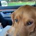 Samuel D. Ringo - Facebook