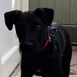 Sam Ripley - @sam5ripley - Instagram